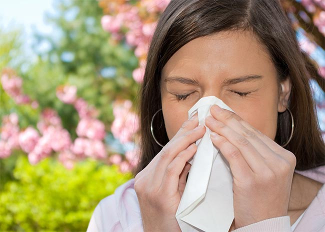 Απαντήσεις στα ερωτήματά σας για τις αλλεργίες