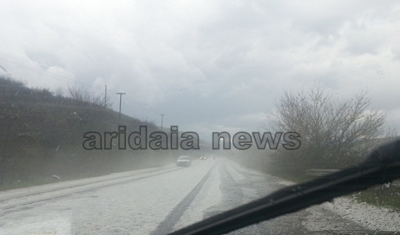 ΦΩΤΟ:Το «έστρωσε» στην Πέλλα