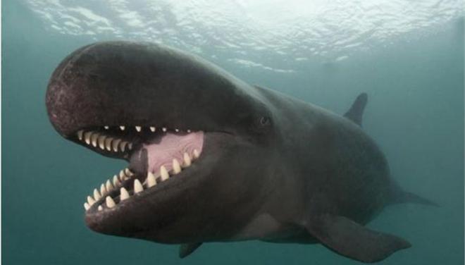 Το χαμόγελο της ψευδόρκας