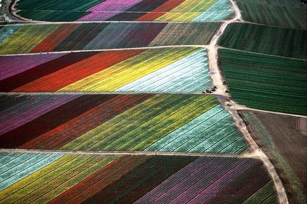 Πανέμορφα χωράφια… από ψηλά
