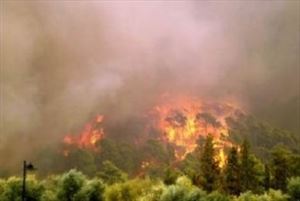Πυρκαγιά στα Χανιά κοντά σε οικισμό