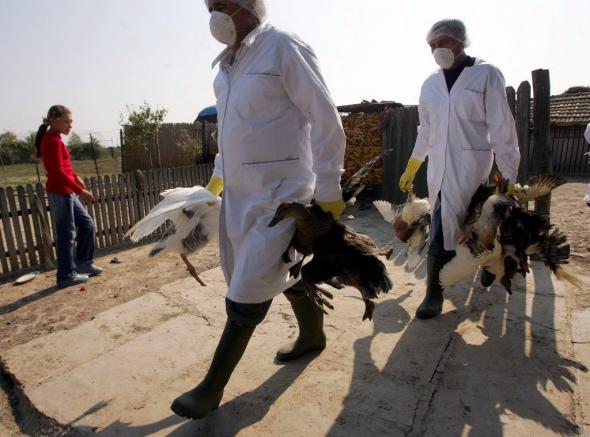 Κίνα: Ύποπτο κρούσμα H7N9