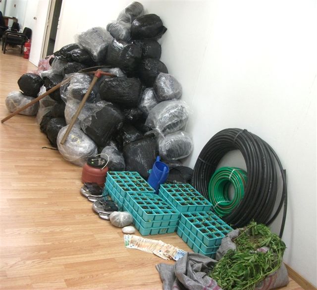 Εντοπίσθηκε χασισοφυτεία στο Σούνιο