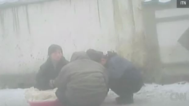 B. Κορέα: Τρώνε γρασίδι και φύλλα