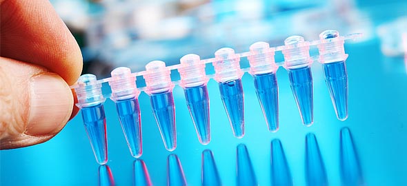 Τεστ πατρότητας στο ΑΠΘ