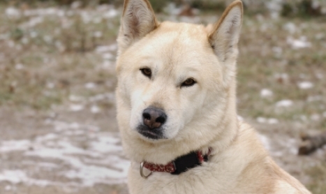 Τραγωδία στη Μεγαλόνησο