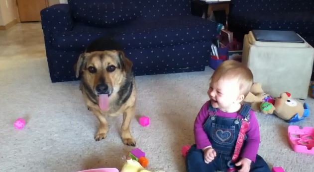 ΒΙΝΤΕΟ-Η Μόλυ και οι σαπουνόφουσκες