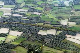 “Όχι” σε φορολόγηση των κατ’επάγγελμα αγροτών