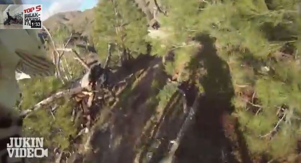 ΒΙΝΤΕΟ-Νοκ άουτ από το…δέντρο