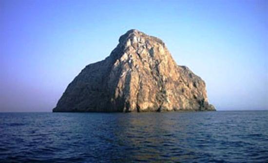 Ερημίτης σε βράχο του Ατλαντικού