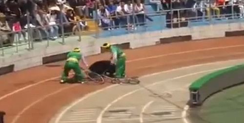 Αρκούδα επιτίθεται σε μαϊμού