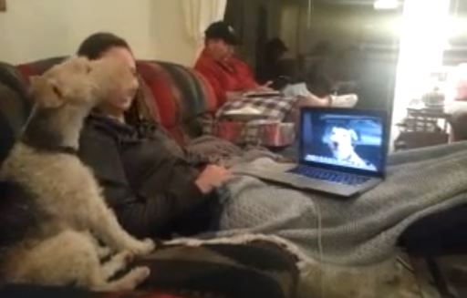 Σκύλοι “τα λένε” στο Skype