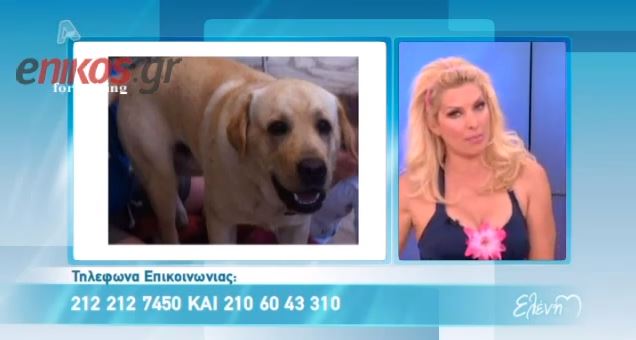 BINTEO- Η Ελένη έχασε τον Βίκτωρα