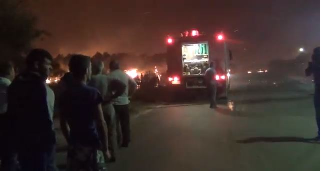 ΒΙΝΤΕΟ-Η φωτιά στην Κυπαρισσία