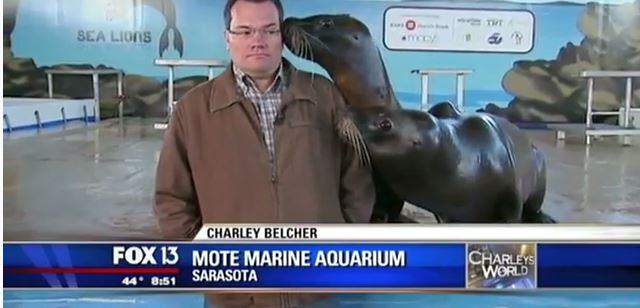 ΒΙΝΤΕΟ-Οι γκάφες των ρεπόρτερ