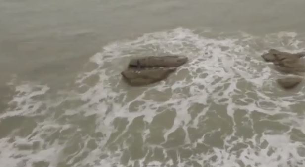 ΒΙΝΤΕΟ-Είναι γοργόνα ή…;