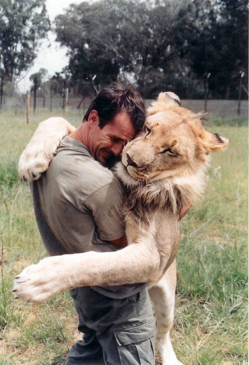 ΦΩΤΟ- Ζει ανάμεσα σε λιοντάρια