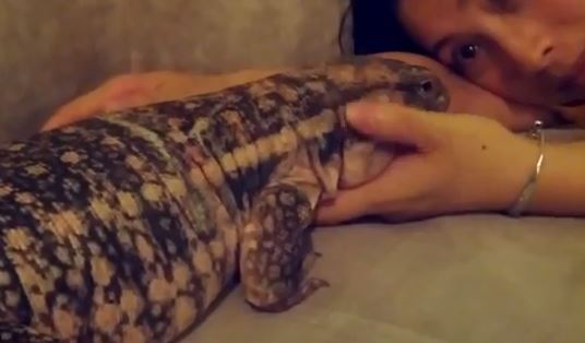 BINTEO-Η πιο τρυφερή σαύρα του κόσμου