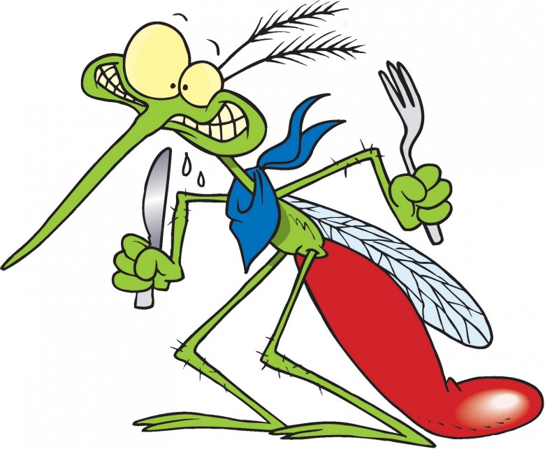 Μήπως είστε μαγνήτης για τα κουνούπια;