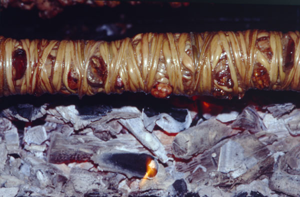 Τα μυστικά του πασχαλινού ψησίματος