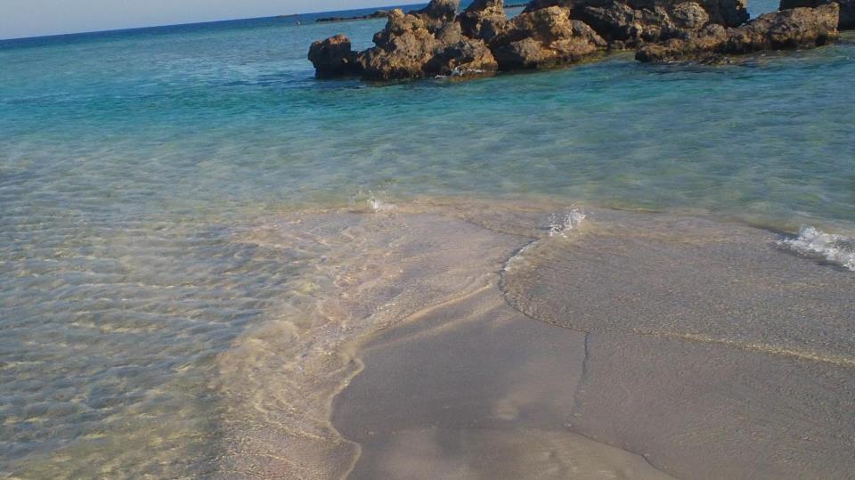 Ελλάδα ψηφίζουν οι Αυστριακοί