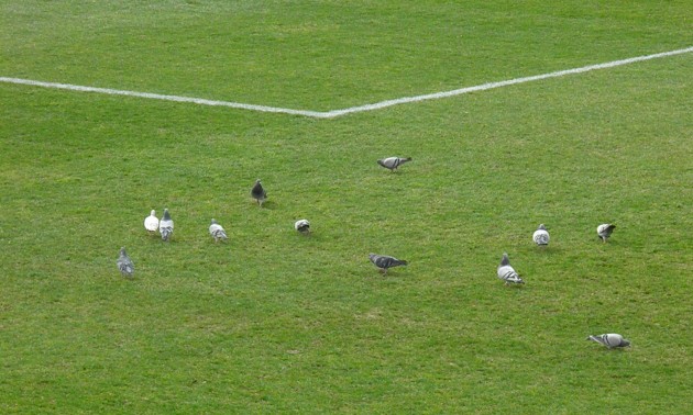 Ξεψύχησε στο γήπεδο