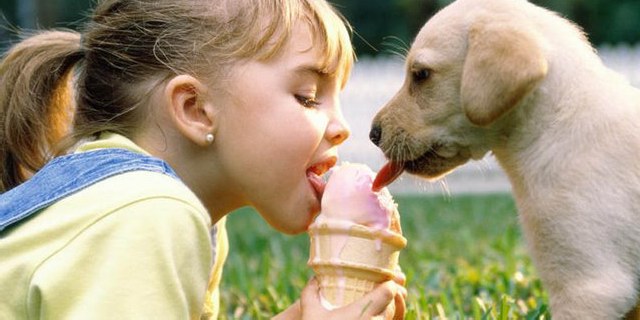 «Συμβιώνω με τα Ζώα γύρω μου»