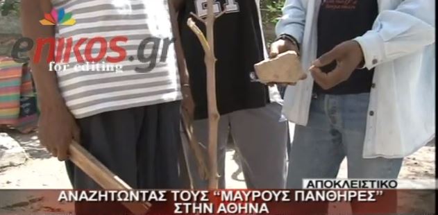 ΒΙΝΤΕΟ – Αναζητώντας τους “Μαύρους Πάνθηρες”