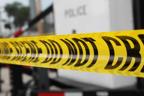 Αδελφοκτόνος ετών 12