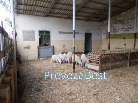 ΒΙΝΤΕΟ-Σκουπίδια και…πρόβατα στα στρατόπεδα της Πρέβεζας