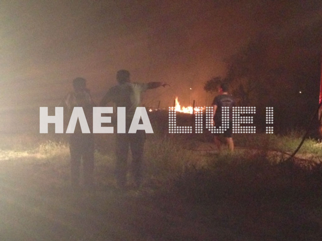 ΦΩΤΟ-Η φωτιά στην Ηλεία