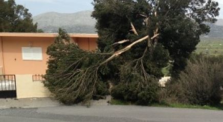 Τρίκαλα-Τους πήρε και τους σήκωσε