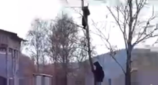 ΒΙΝΤΕΟ-Τον πήρε στο…κυνήγι η αρκούδα