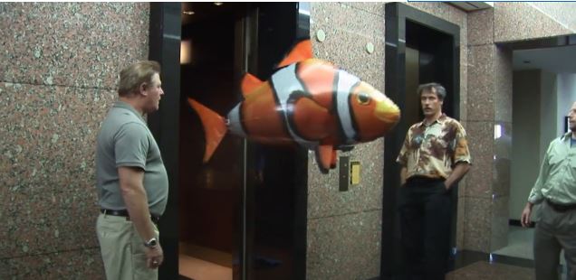 ΒΙΝΤΕΟ-Καρχαρίας «βγήκε» στο δρόμο