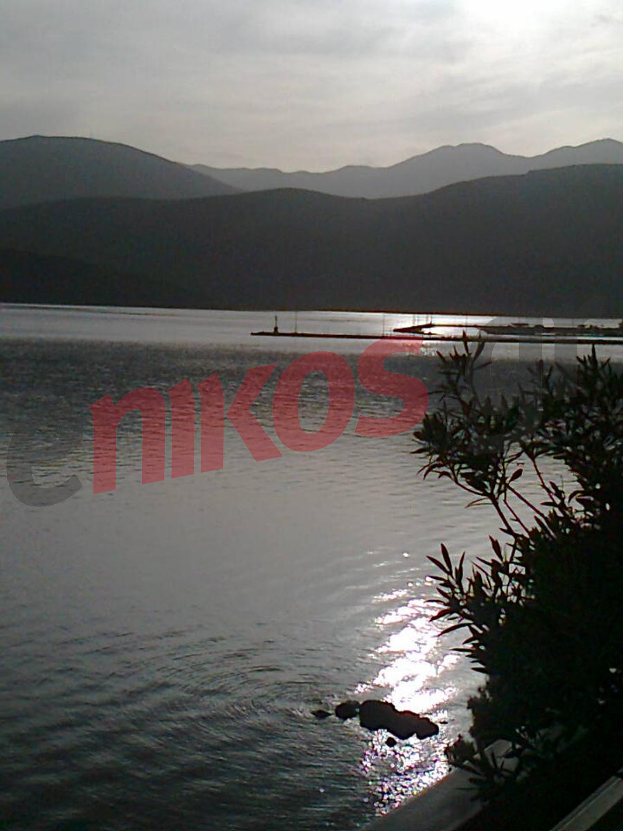 ΦΩΤΟ – Μια όμορφη εικόνα από την Ιτέα