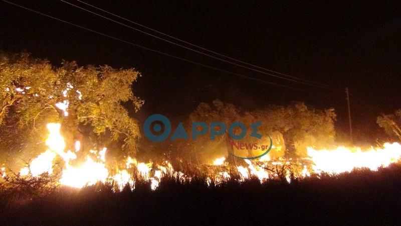 Στις φλόγες η Κυπαρισσία