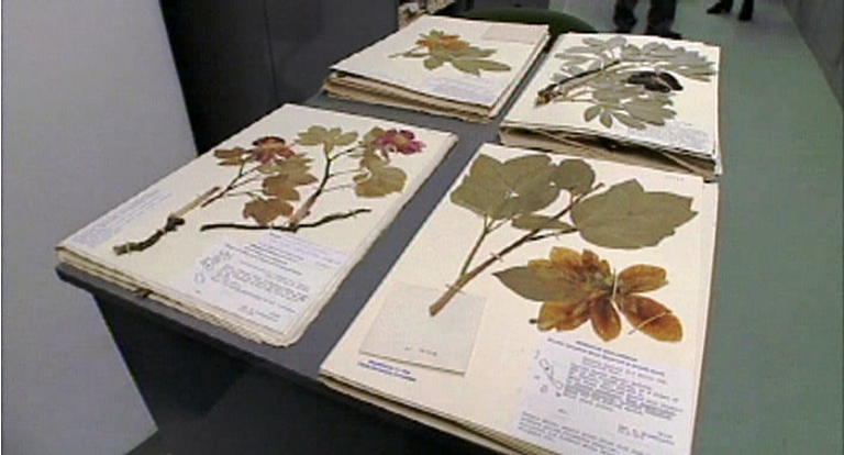 Αφιέρωμα της ΕΡΤ για τη Διεθνή Ημέρα Μουσείου