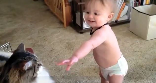 ΒΙΝΤΕΟ-Γελάνε με τον…πόνο τους