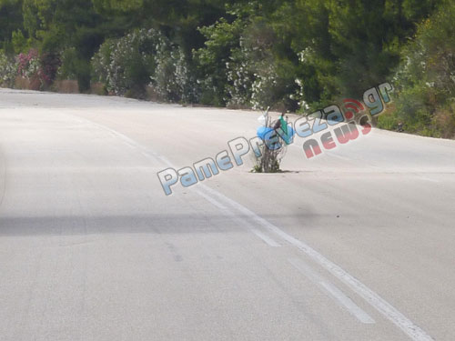 “Φύτεψαν” δέντρο στην Εθνική Οδό