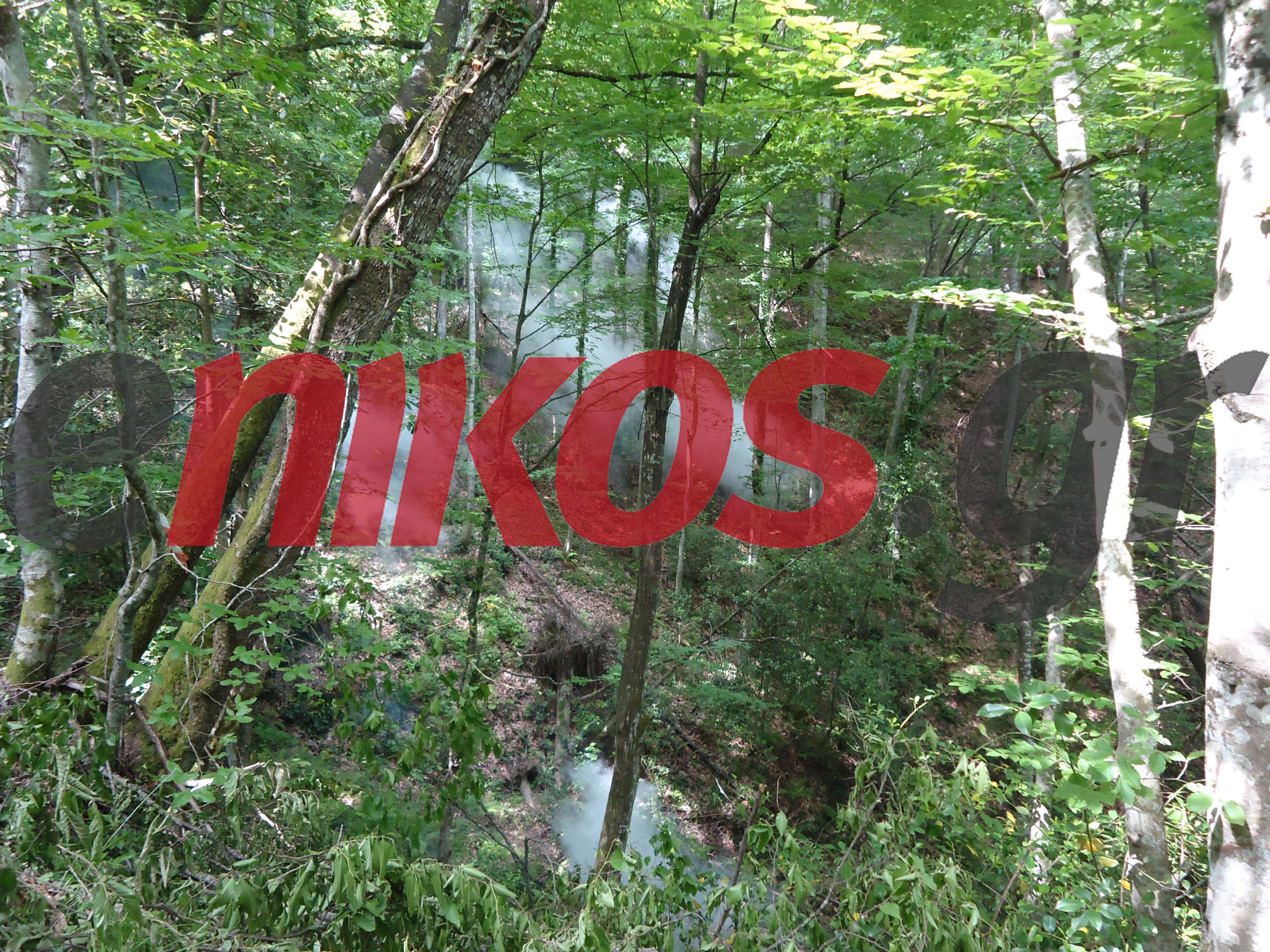 Χαλκιδική: Σε συλλήψεις μετατράπηκαν οι προσαγωγές