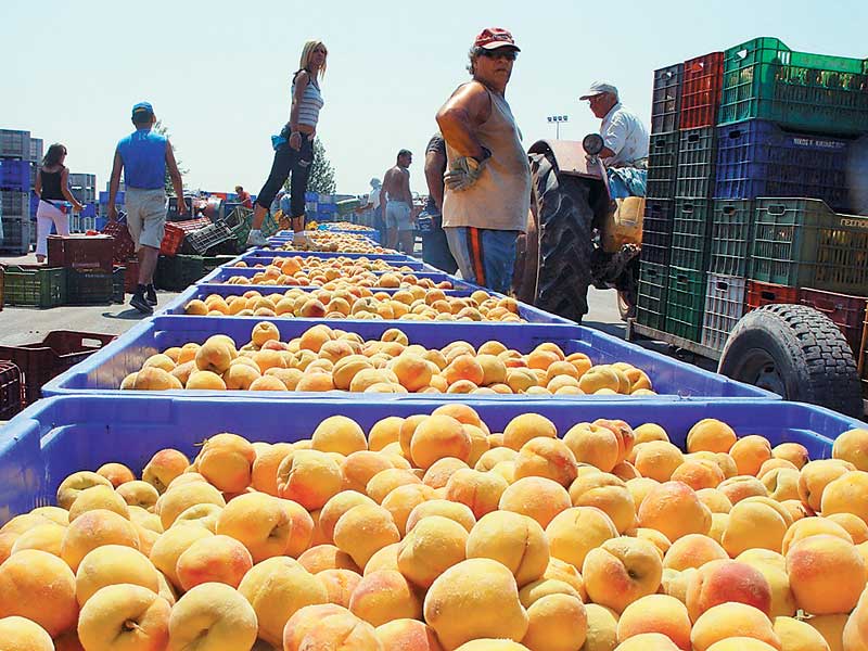 “Θετική η πορεία των εξαγωγών”