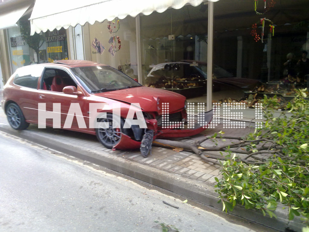 Οδηγός «σκότωσε» δέντρο