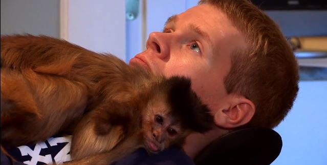 ΒΙΝΤΕΟ-Μαϊμού βοηθάει άτομο με αναπηρία