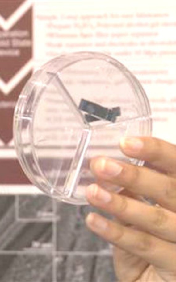 BINTEO-Φορτιστής κινητού των 20”