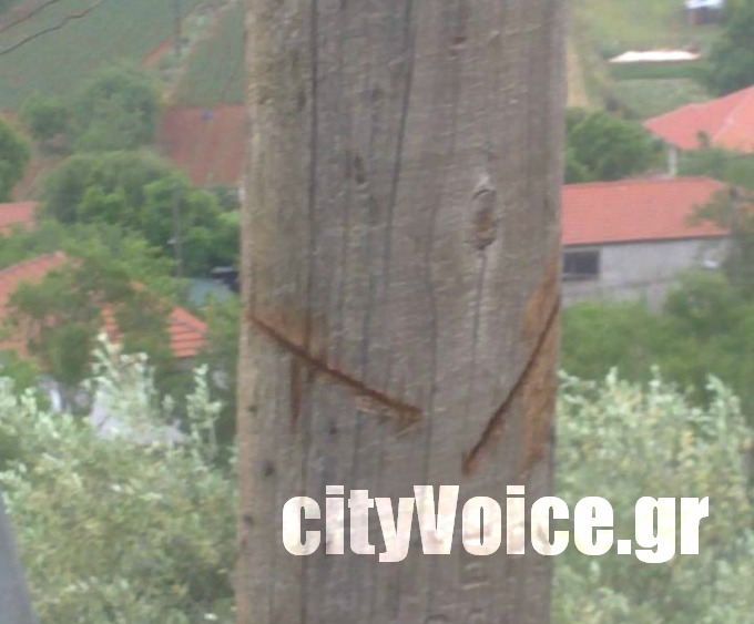 ΦΩΤΟ-Επιχείρησε να κόψει την κολώνα της ΔΕΗ