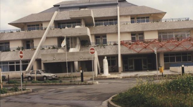 Πάφος: Ξυλοκόπησαν άγρια τουρίστα