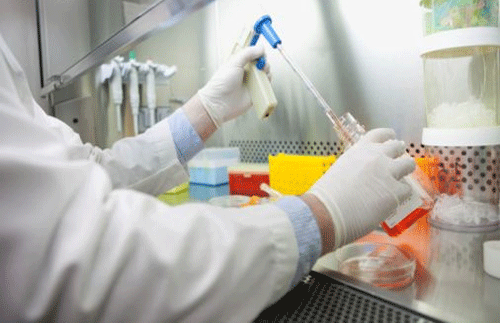 Ποντίκι από μια σταγόνα αίματος