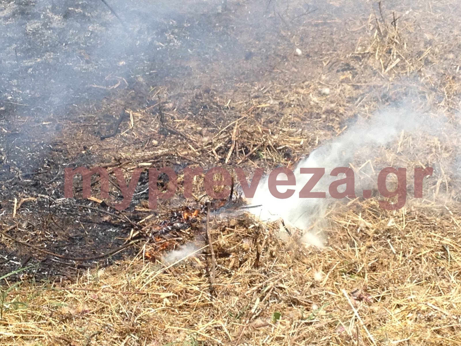 ΦΩΤΟ-Πυρκαγιά στην Πρέβεζα