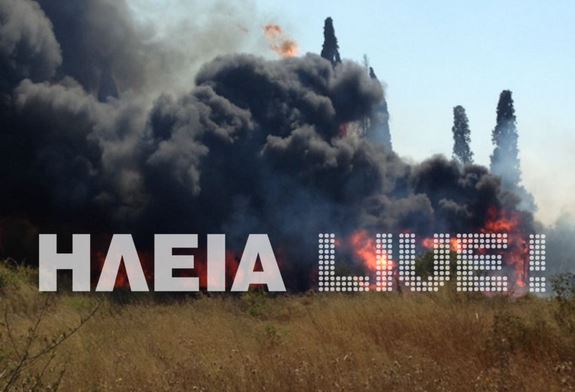 ΤΩΡΑ-Πυρκαγιά στο Μεσολογγάκι Πύργου