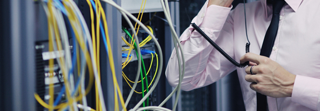 ΗΠΑ: Λένε “ναι” στους κοριούς